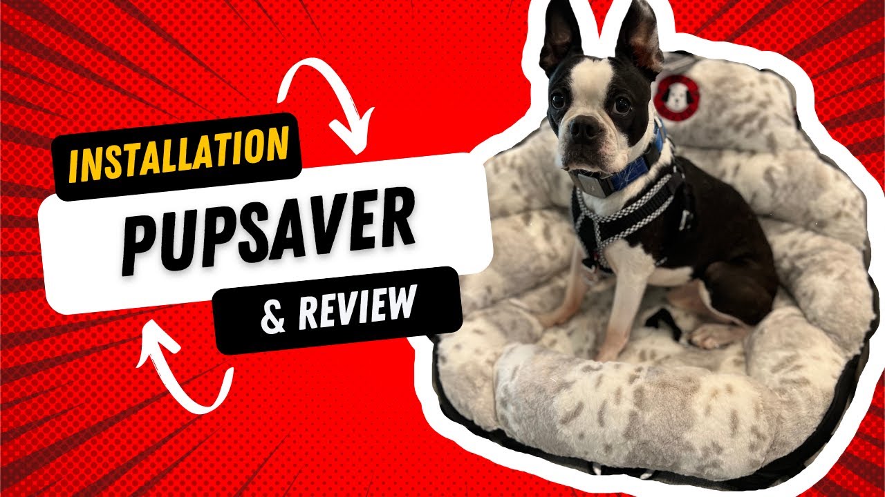 Pupsaver: A crash tested dog car seat. Installation and review.