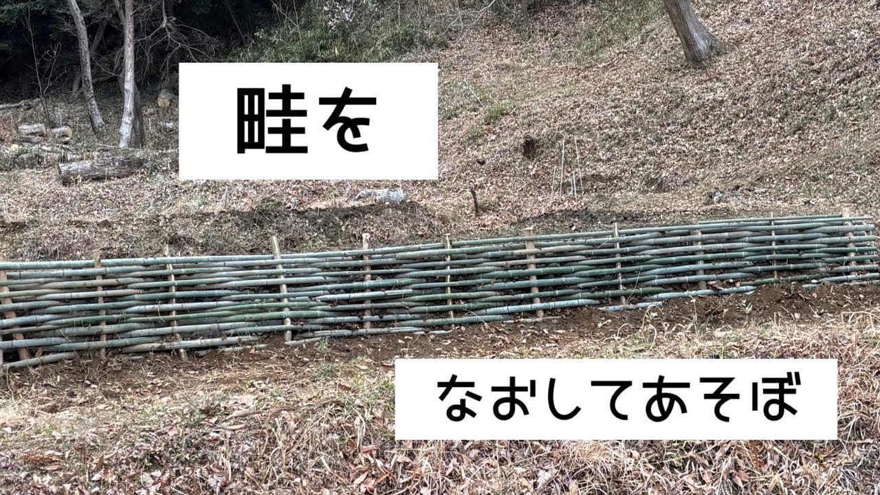 畦をなおしてあそぼ