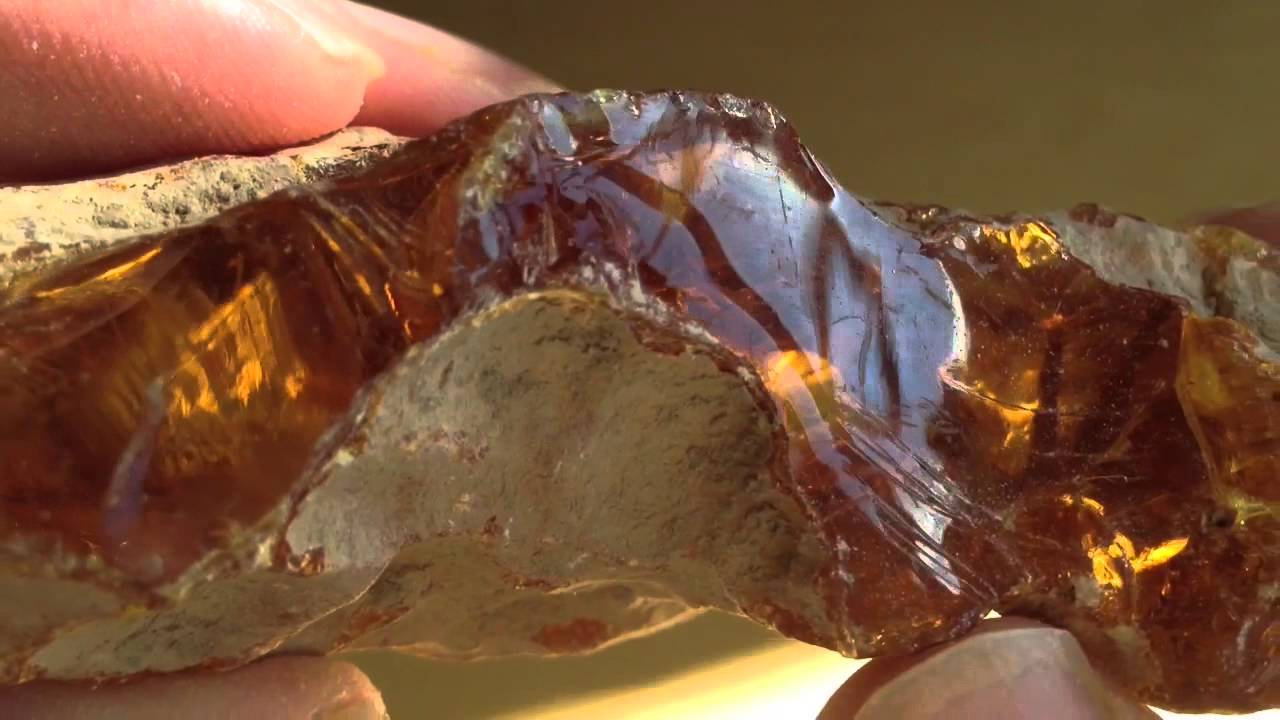 Real Fossilized Amber