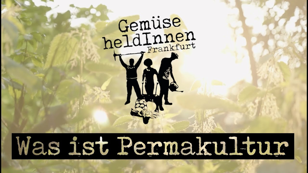 Die GemüseheldInnen Frankfurt erklären Permakultur #Permakultur #Gemeinschaftsprojekt #UrbanFarming