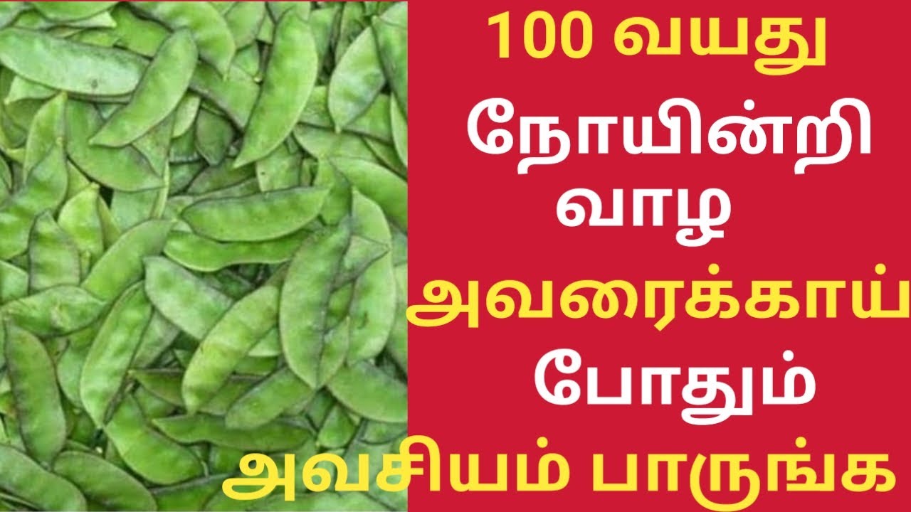 அவரைக்காய் மருத்துவ பயன்கள்!/Broad Beans Health Benefits in Tamil/Health Tips in Tamil