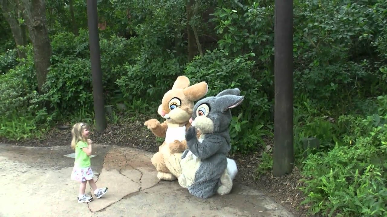 Animal Kingdom Characters Thumper & Miss Bunnie Pandacon 2011