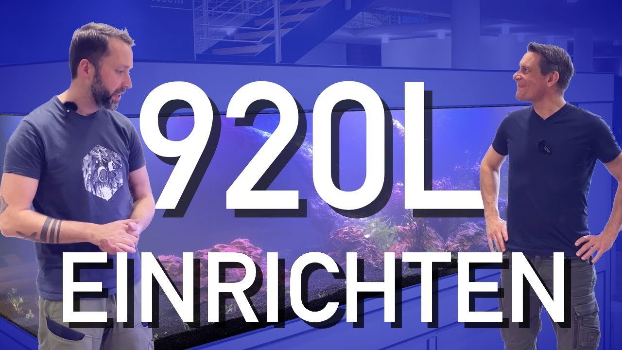 200x80x60 Süßwasseraquarium wird EINGERICHTET