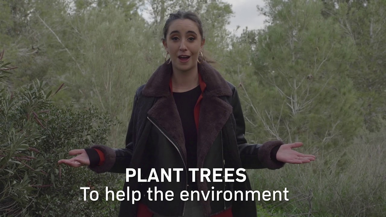 Plant a Tree in Israel with Jewish National Fund - Tu BiShvat
