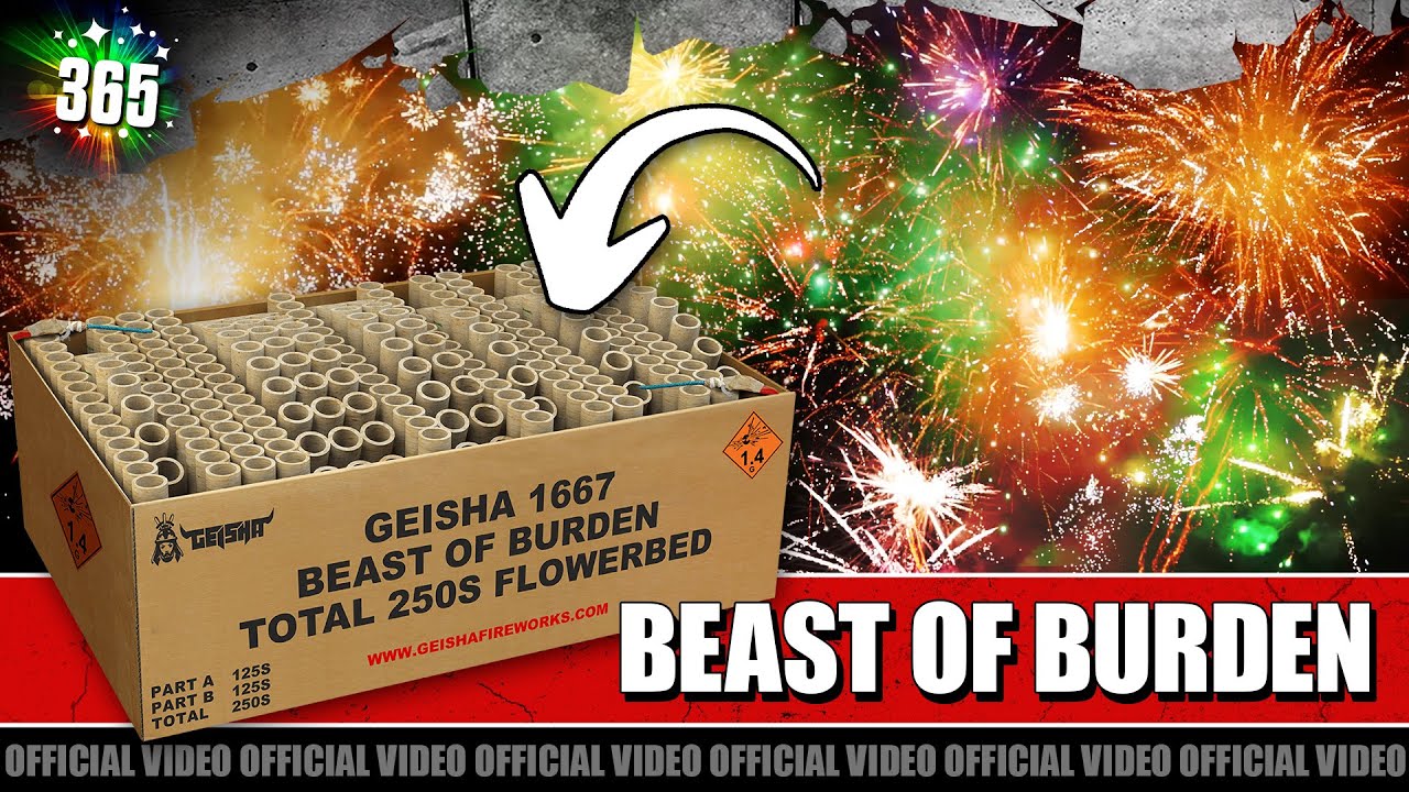 Beast Of Burden 250'S  Compound vuurwerk | Vuurwerkmania