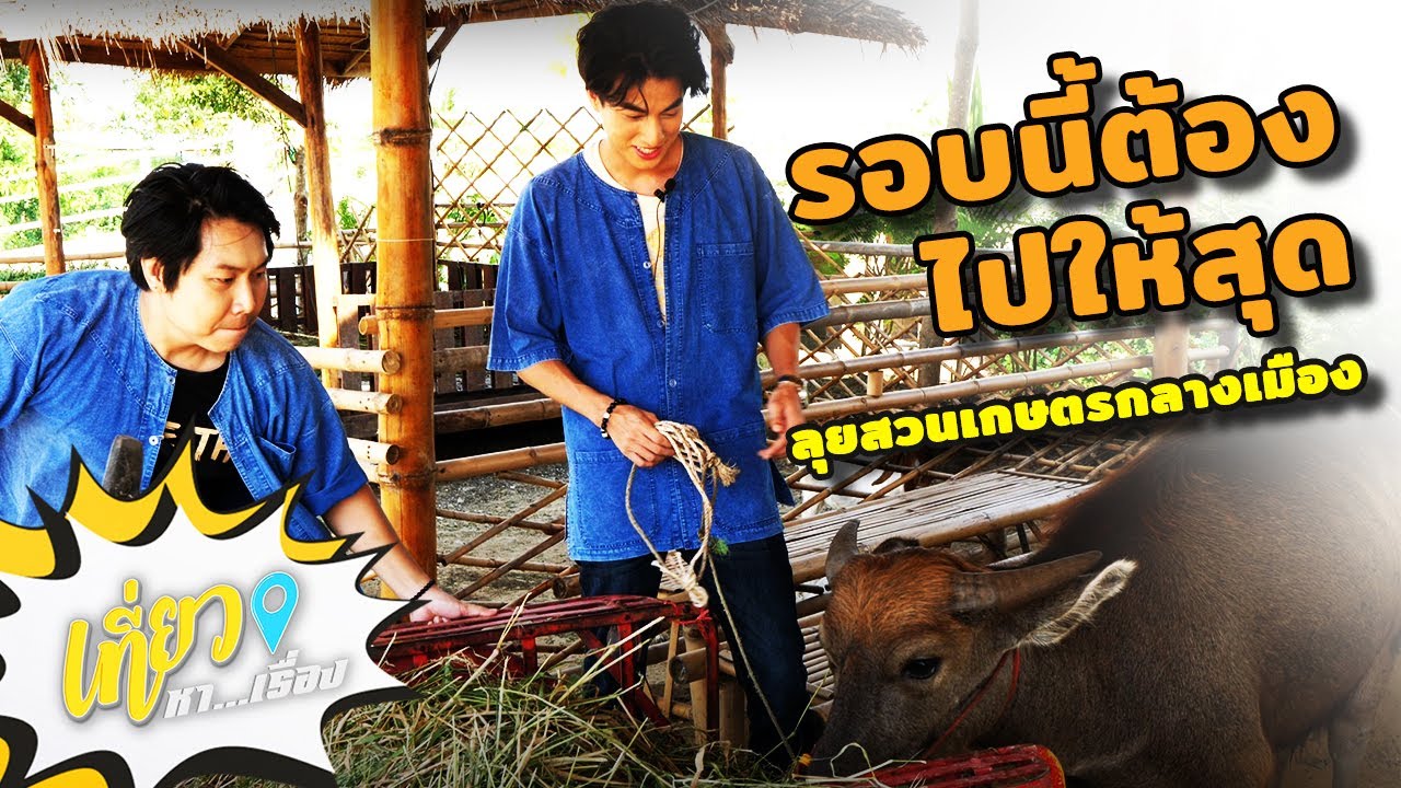 #เที่ยวหาเรื่อง พากลัฟ จูงน้องชบา ลุยสวนเกษตรอินทรีย์ กลางใจเมือง จัดหนัก