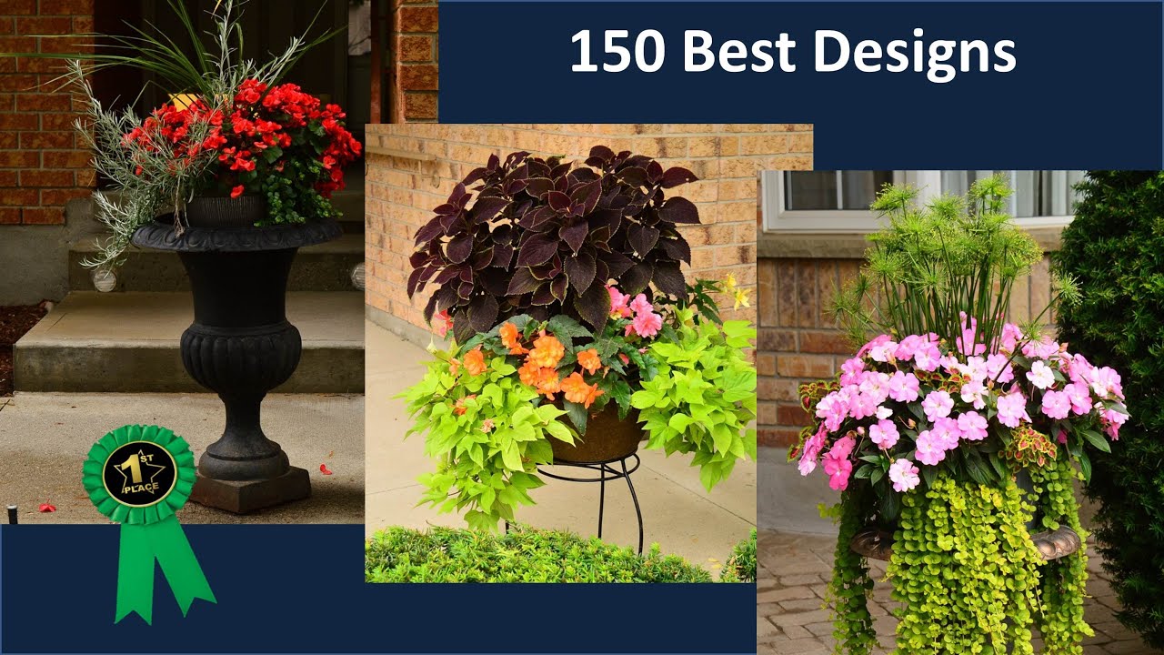 150 Container Garden Ideas - Design Your Best Planter Ever