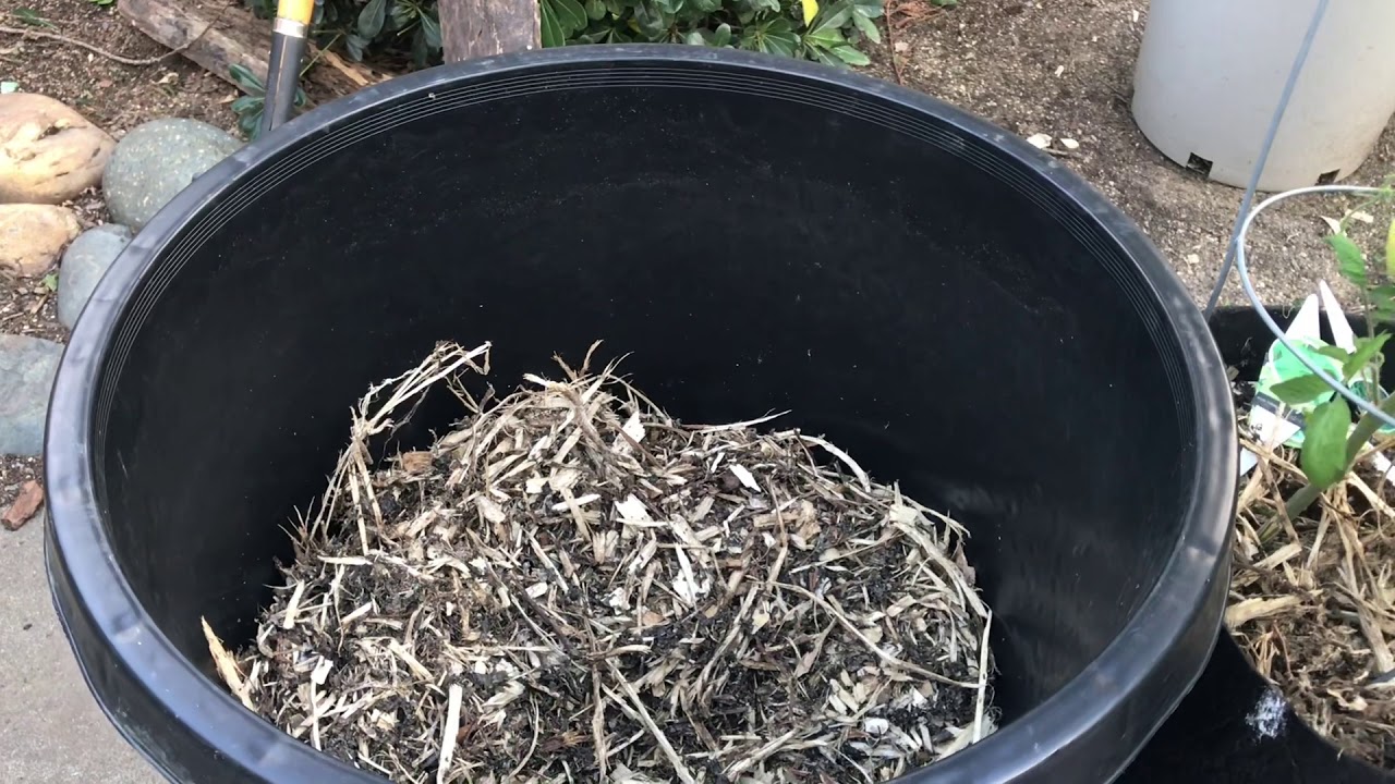 Composting in place