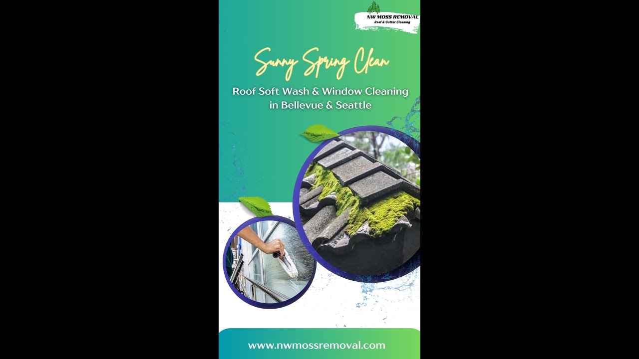 Roof Soft Wash  Window Cleaning in Bellevue  Seattle