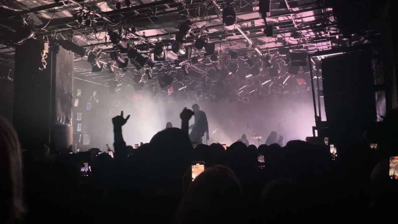 CVLTE LIVE