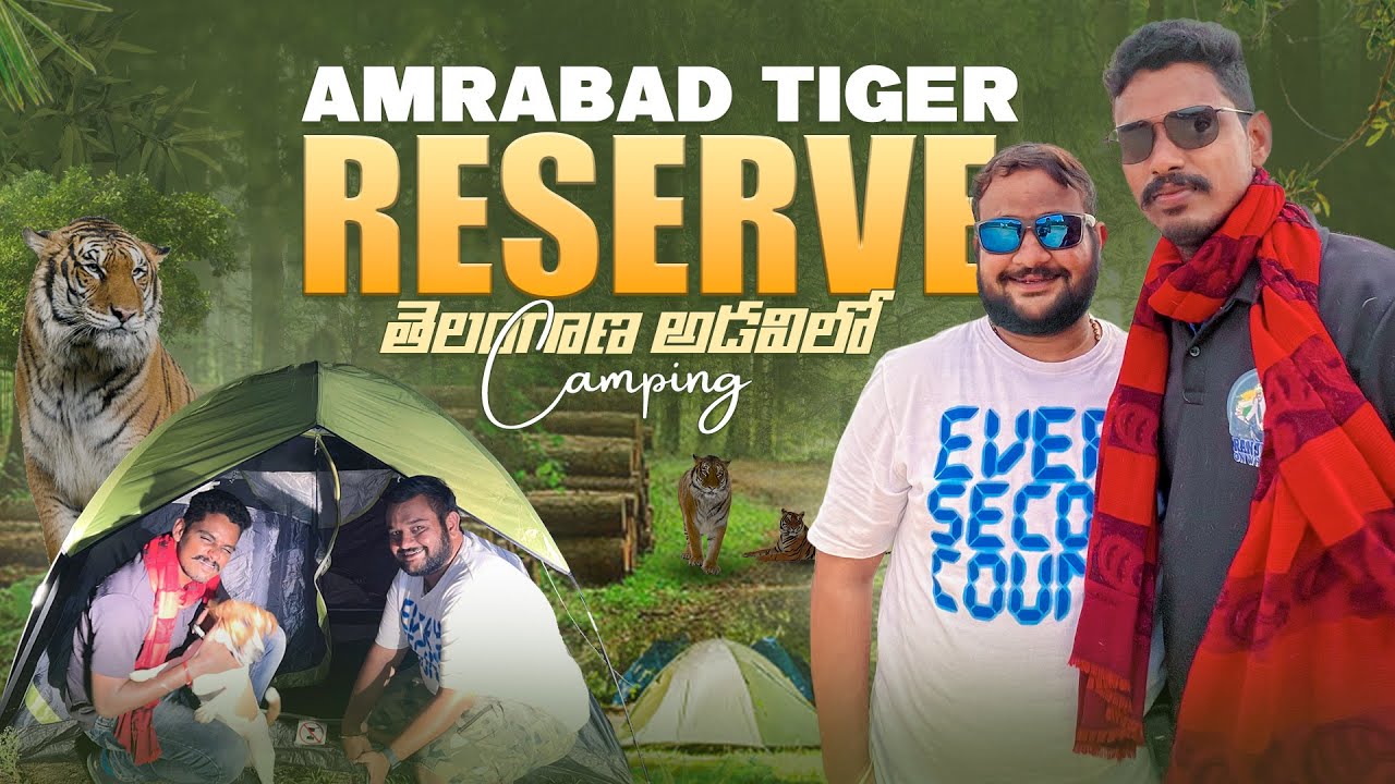 Amrabad Tiger Reserve |Jungle Camping and Safari #wildlife #camping #junglesafari @Ranjithonwheels
