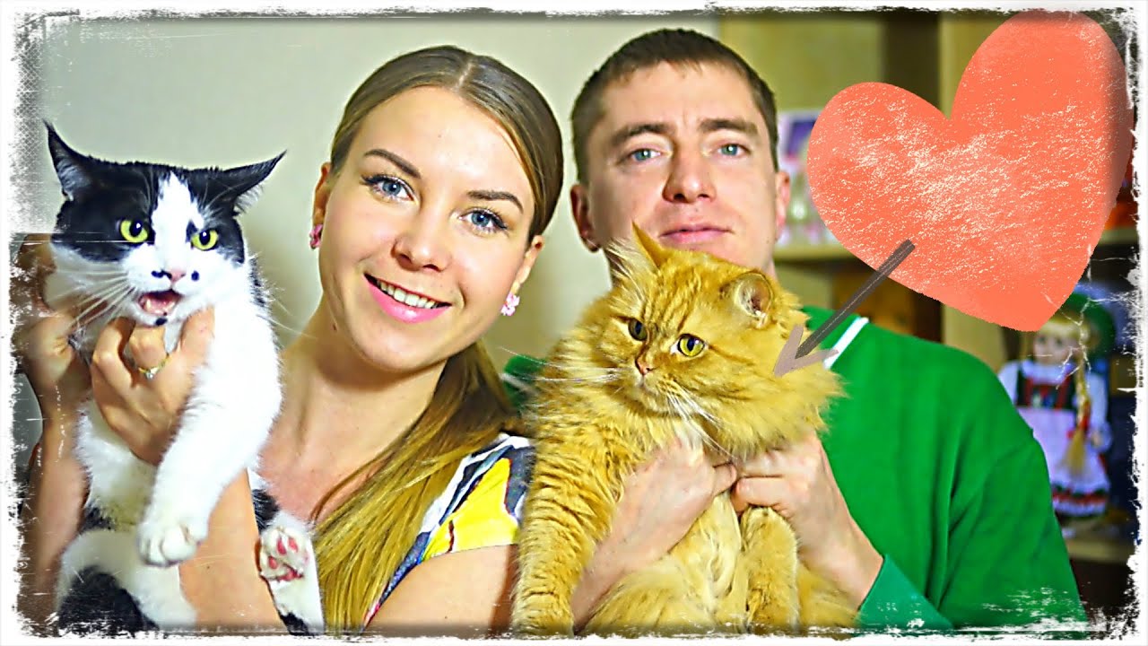 НАЧАЛО СОВМЕСТНОЙ ЖИЗНИ. Проблемы, быт, туалет =)