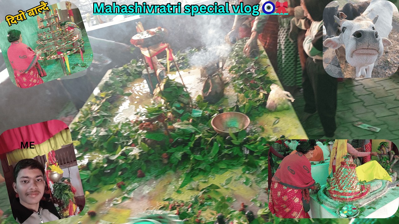 )𓆗हर हर महादेव🕉️||Mahashivratri special vlog 🧿🎀🕉