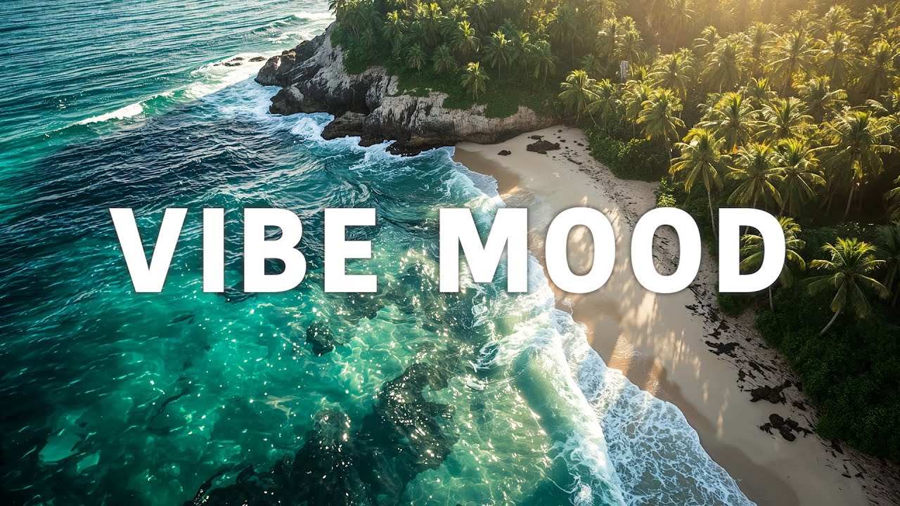 Vibe Mood | Chill House & Tropical Beats for Relaxing, Focus & Summer Energy 🌴☀️