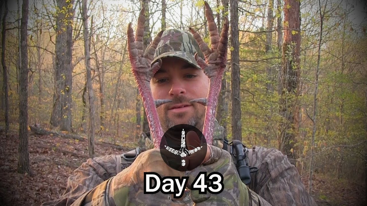 PUBLIC LAND TURKEY HUNT_ HARD GOBBLING LIMBHANGER_ KY GOBBLERS- Pinhoti Project Day 43