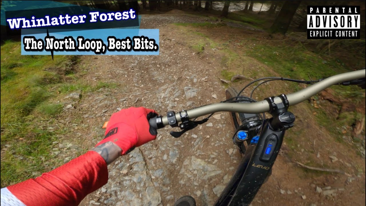 Whinlatter North Loop. The Best Bits.