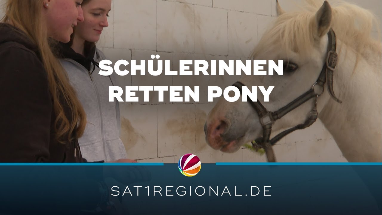 Pony vor Schlachthof bewahrt: Schülerinnen retten 