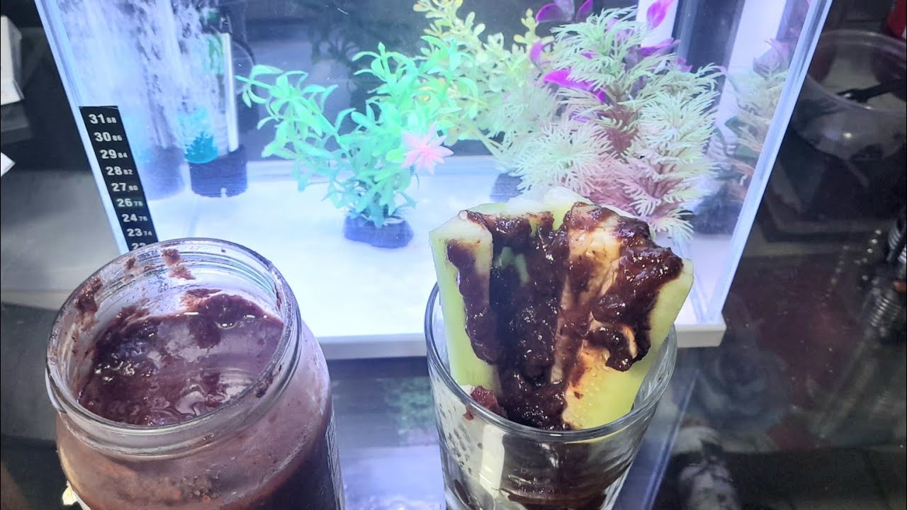 Chamoy Casero con Flor de Jamaica y Uvas pasas #cocina
