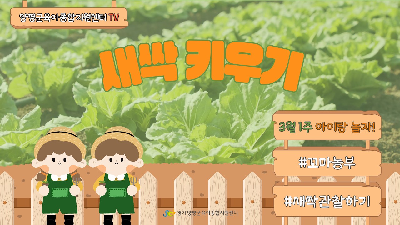 [아이랑 놀자/집콕놀이] 3월 1주 새싹키우기