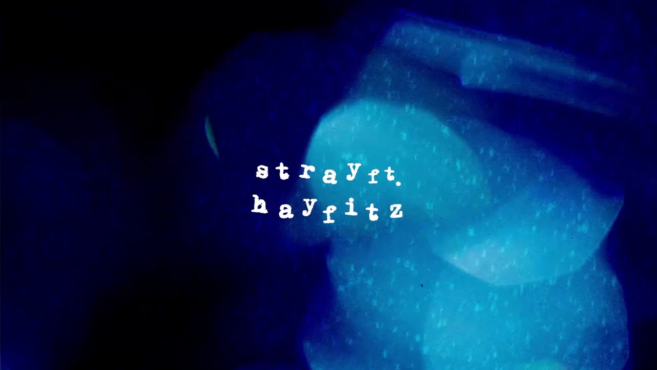 Flaws - Stray (ft. Hayfitz)