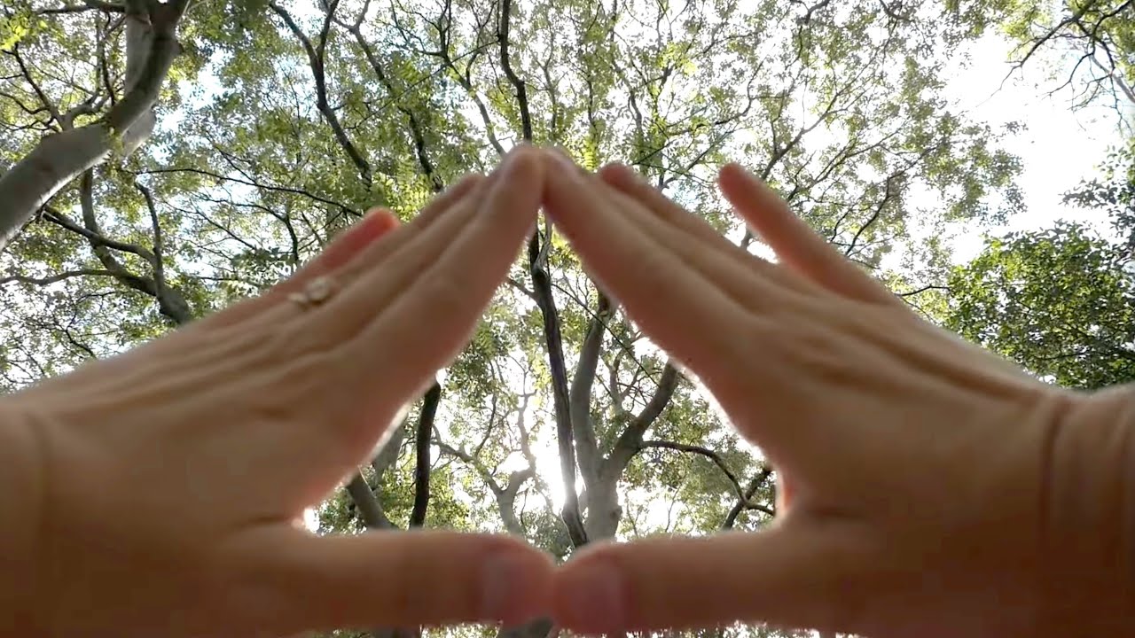 Planetary Healing for Earth: Solar Frequency