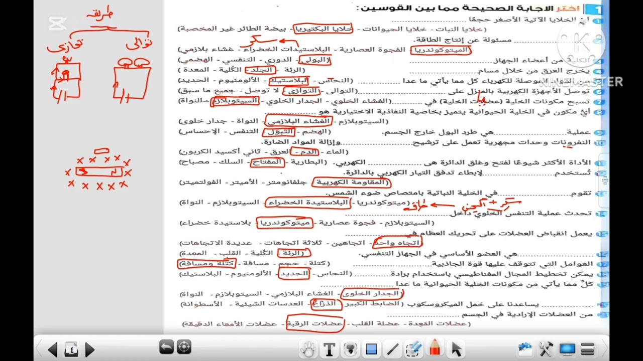 المراجعه النهائيه علوم ٦ إبتدائي ترم أول ٢٠٢٦