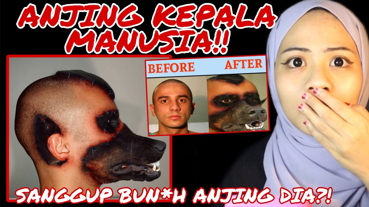 ANJING KEPALA MANUSIA‼️ DIA HABISKAN NYAW4 ANJING UTK NI?! SERAM GIL4!!!