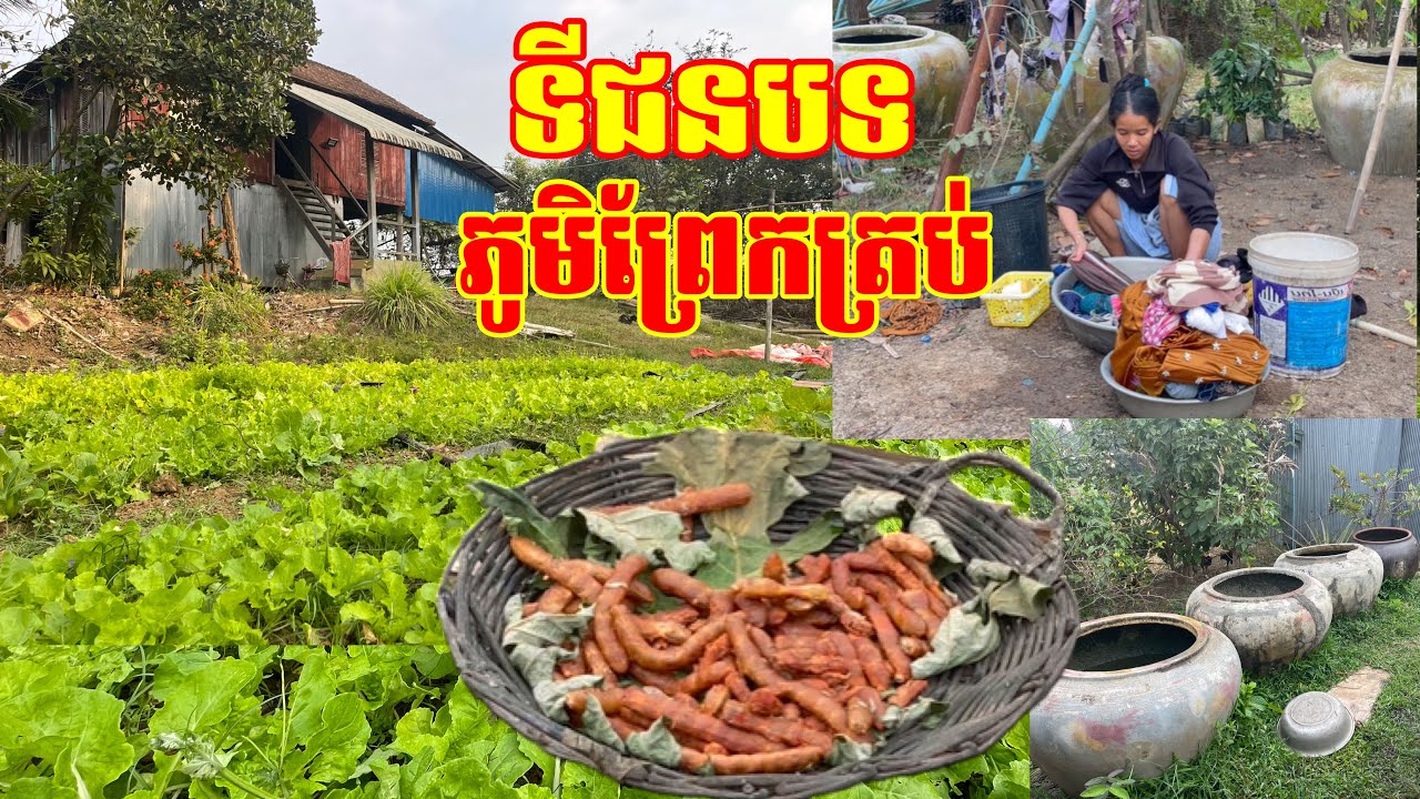 ទិដ្ឋភាពទីជនបទ អ្នកភូមិព្រែកត្រប់