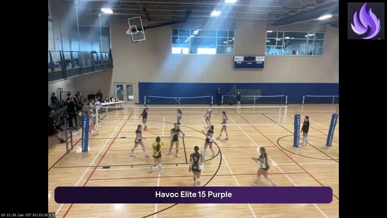 Havoc Elite 15 Pur (2026.03.15)