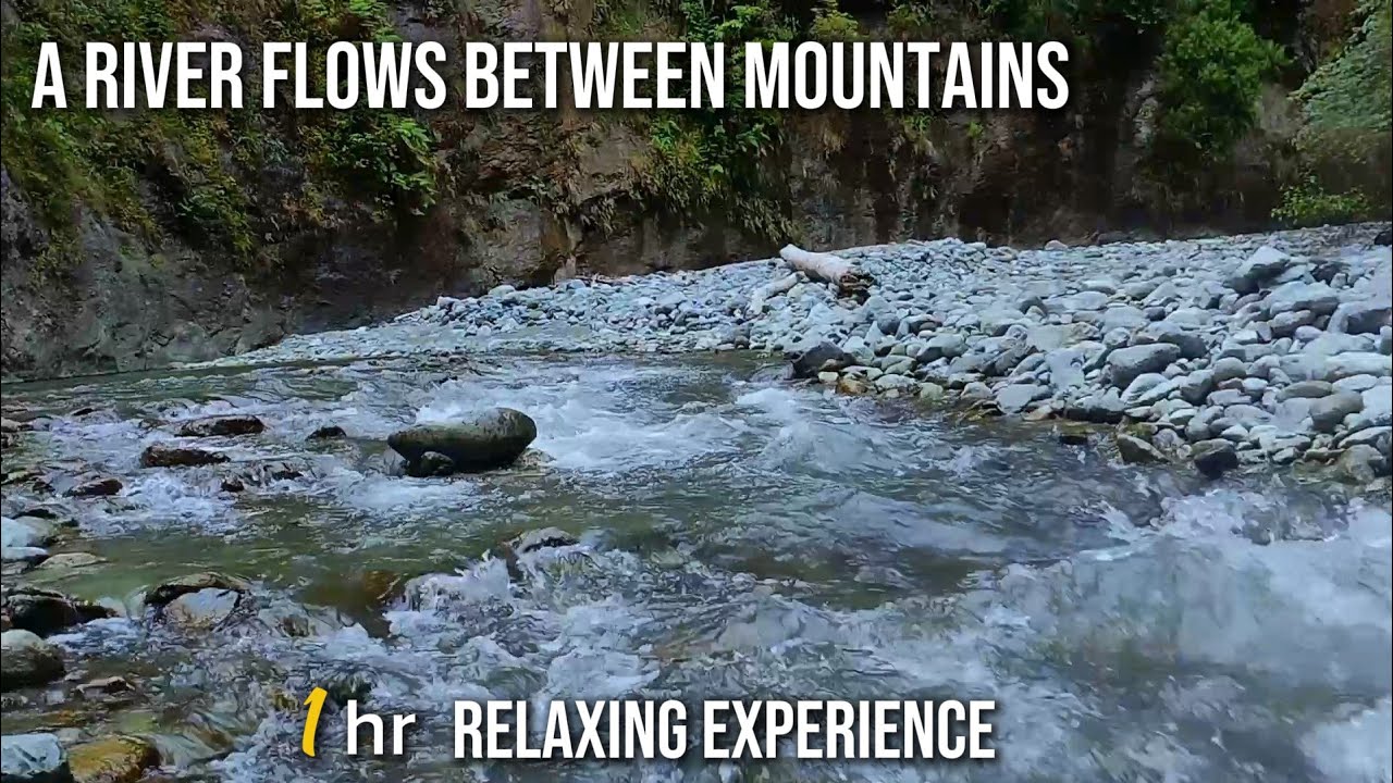 Fast Flowing River and Cool Atmosphere 🍃 DEEP SLEEP & RELAXATION 