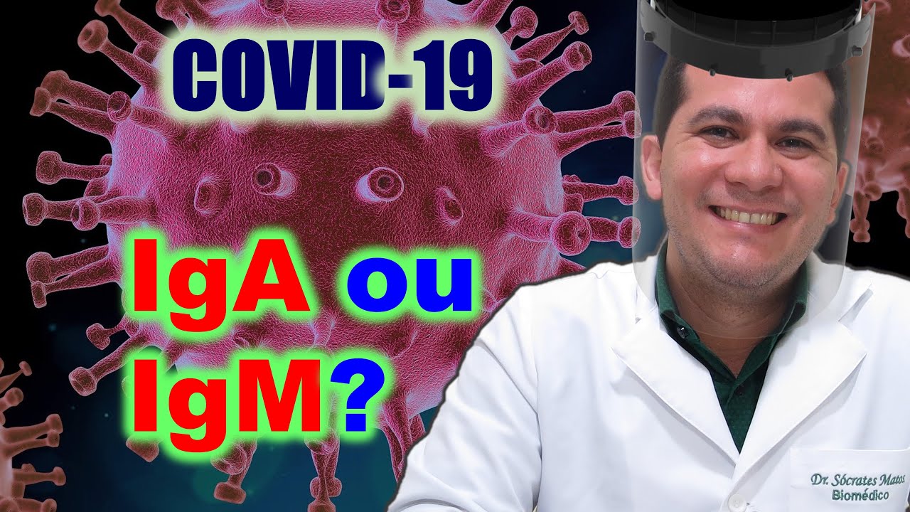 IgM ou IgA: qual o melhor? I Coronavírus