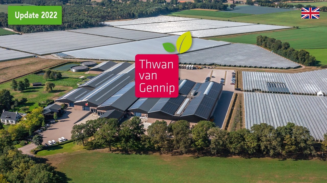 Corporate movie Thwan van Gennip 2023 (English)