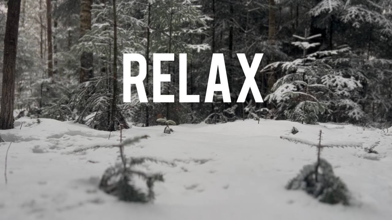 Soothing Forest Atmosphere | Natural Sounds for Deep Sleep & Stress Relie