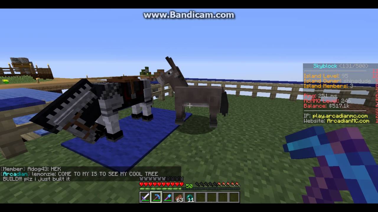 Arcadianmc island tour Skyblock