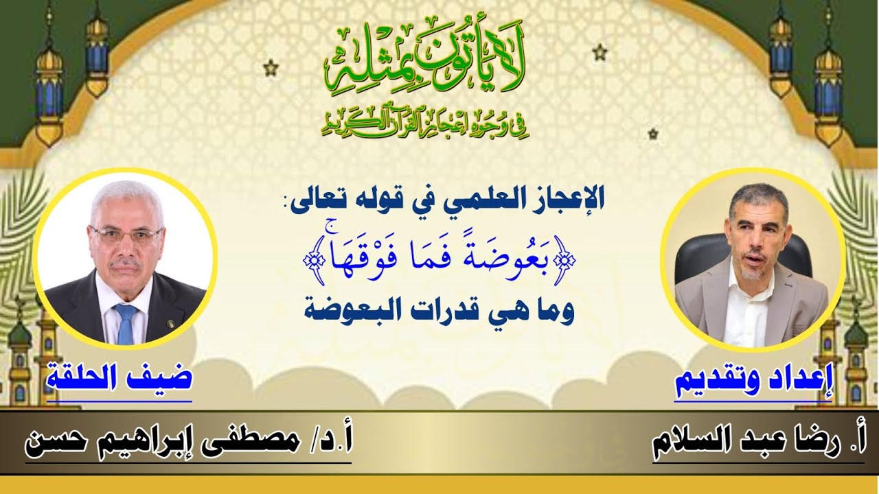 الإعجاز العلمي في قوله تعالى: ﴿بعوضة فما فوقها﴾ وما هي قدرات البعوضة