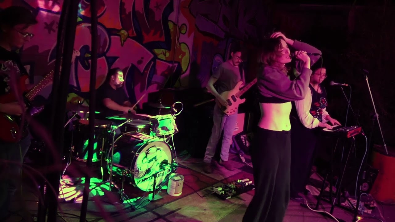 Mall Witch Live @ DSGNCLLCTV 11/7/24 (Full performance)