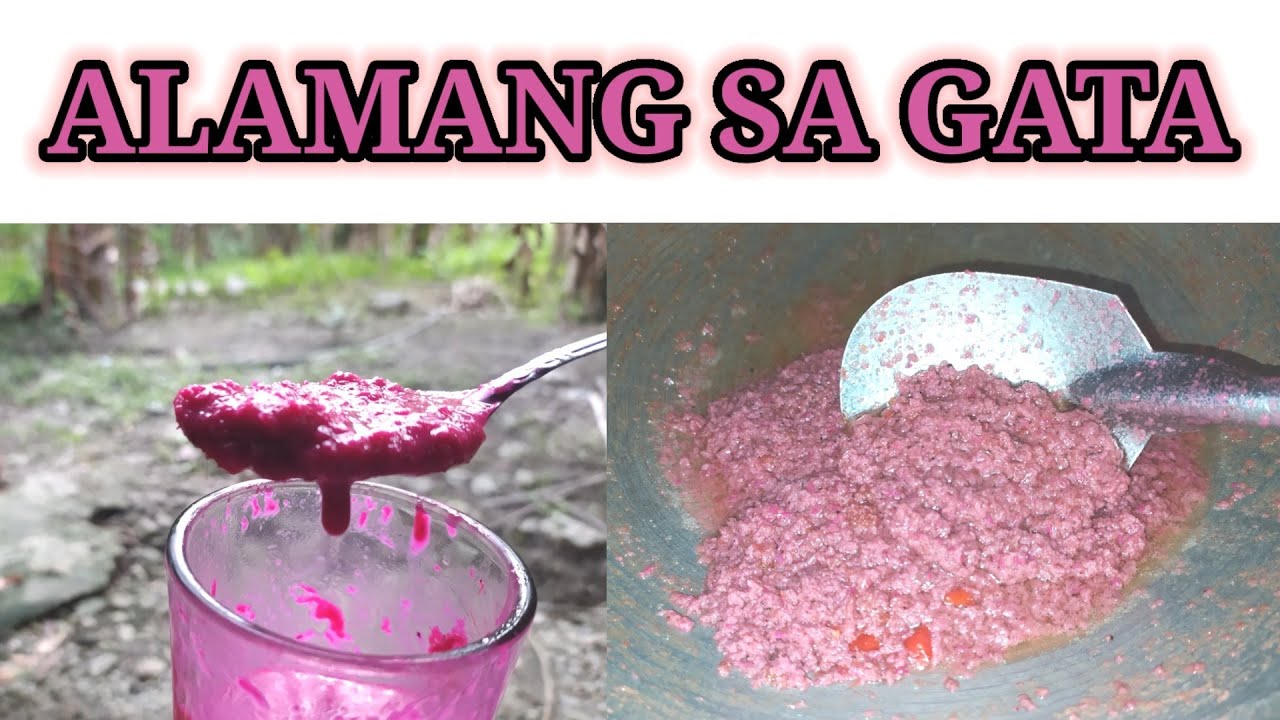 PAANO MAGLUTO NG ALAMANG SA GATA || BARING