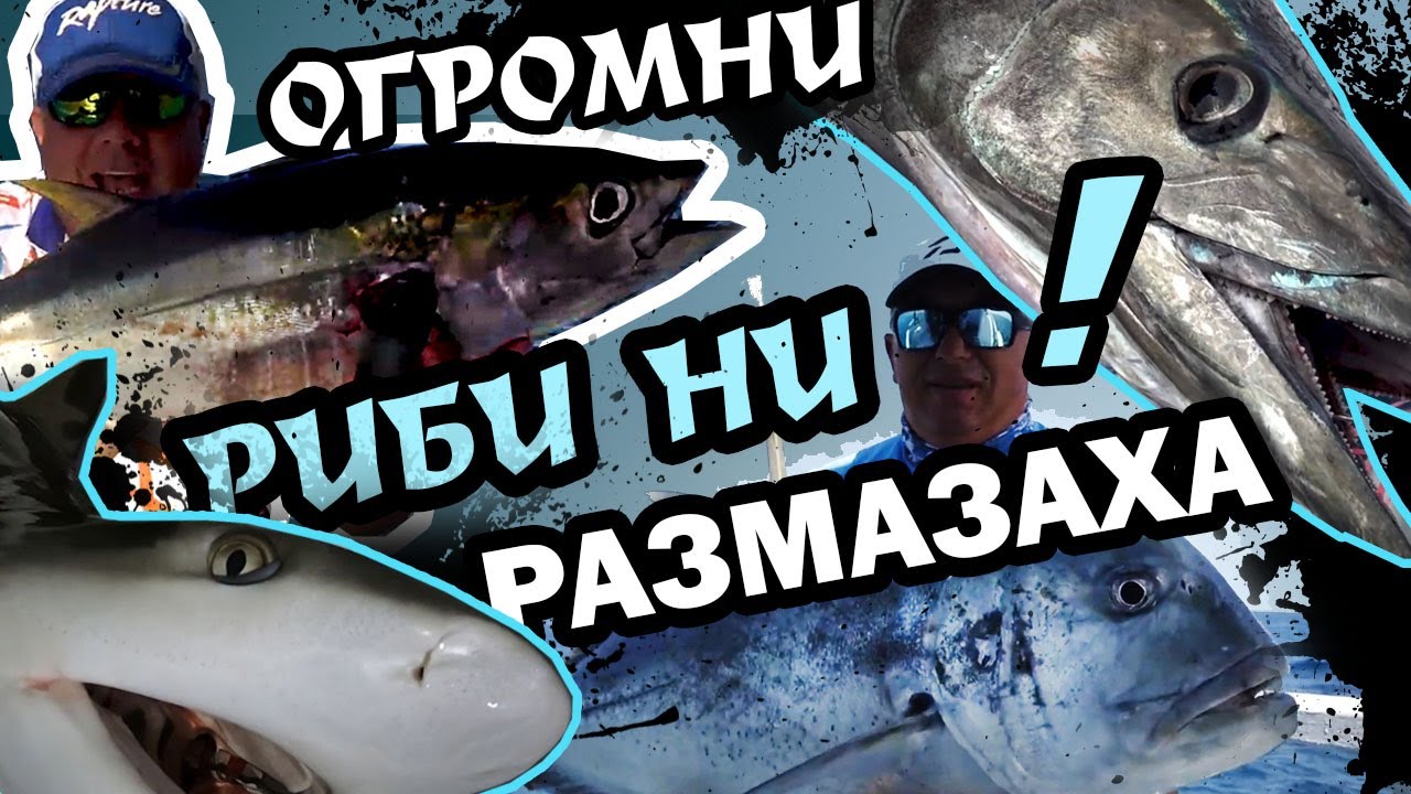Огромни риби ни размазаха... / Експедиция Малдиви 2019 II част