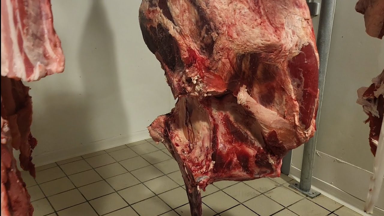 DÉSOSSÉ UNE CUISSE DE BOEUF GÉNISSE CHAROLAISE 75kg