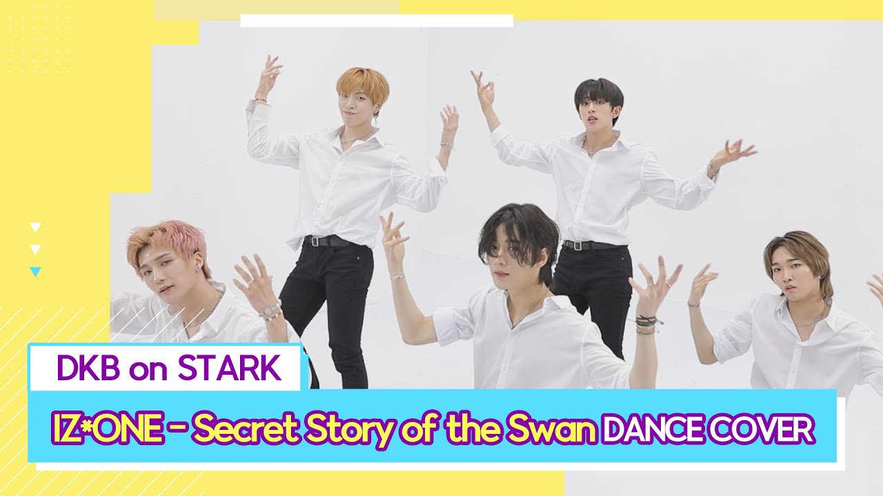IZ*ONE 아이즈원 - Secret Story of the Swan 환상동화(DKB FULL DANCE COVER)