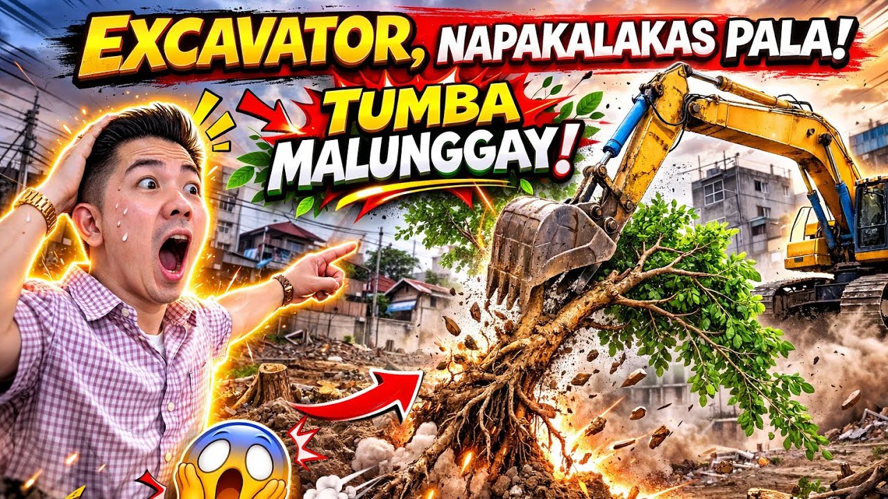 Land clearing using excavator 