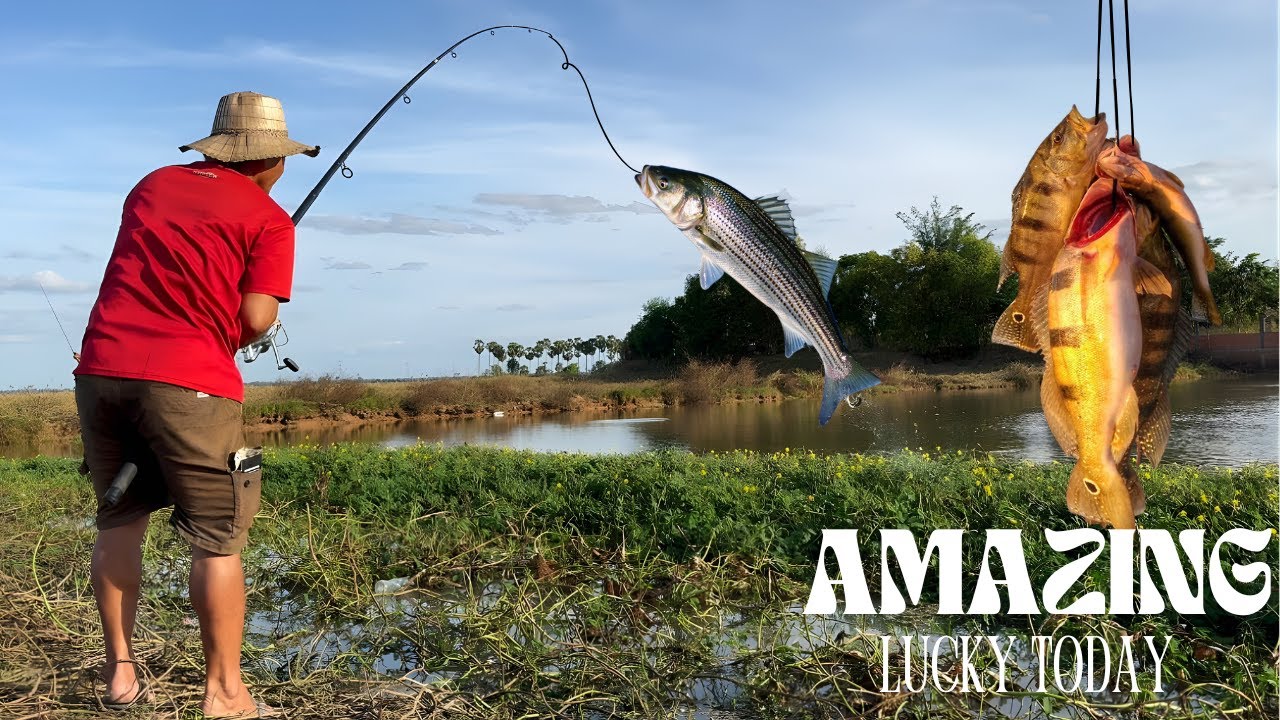 Discovered a New Spot – Huge Fish in Stoung District