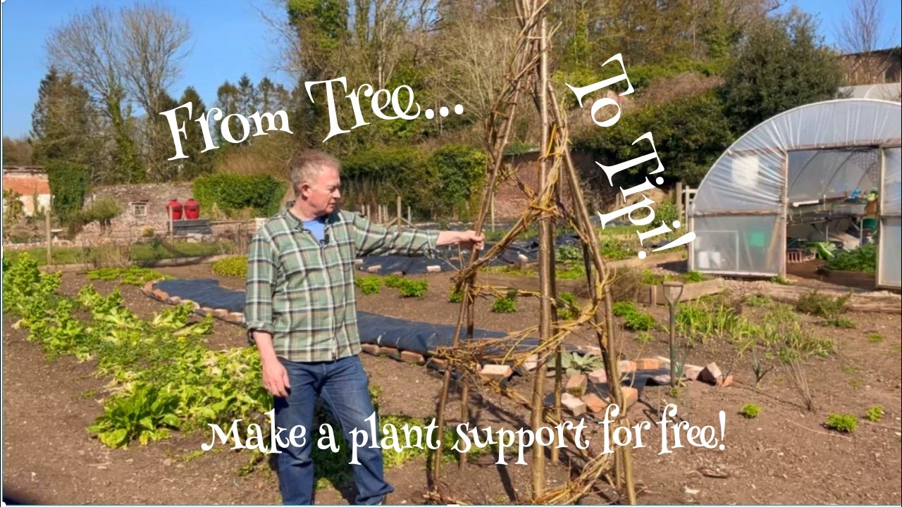 From Tree to Tipi: Making a Garden Wigwam for free!