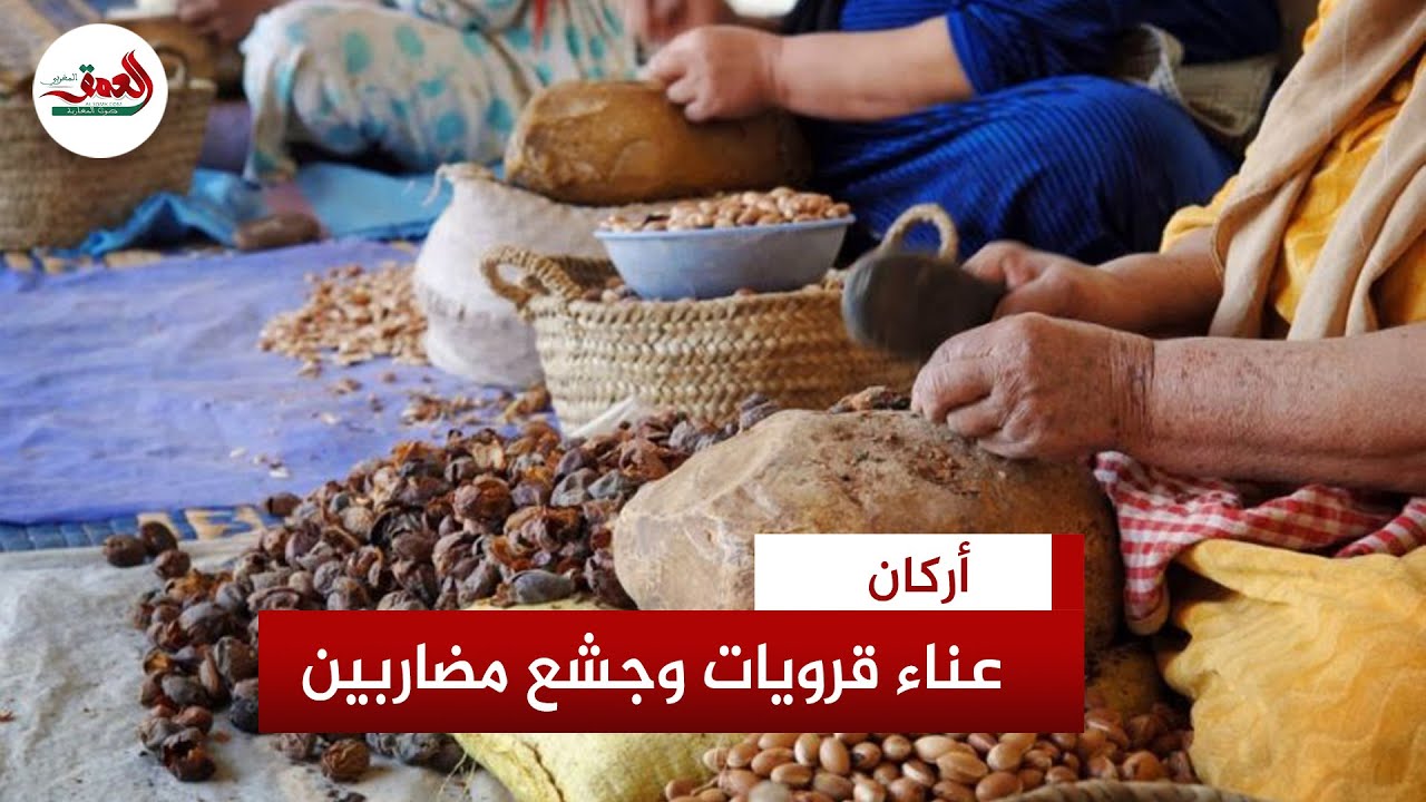 أرݣان.. عناء نساء قرويات وجشع المضاربين
