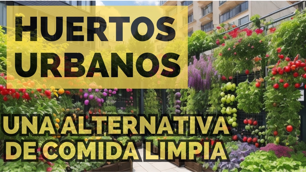 C&oacute;mo cultivar comida Org&aacute;nica en Huertos Urbanos