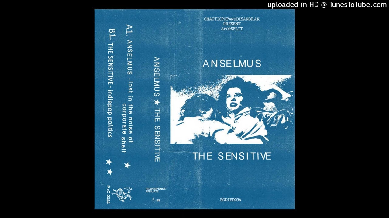 ANSELMUS - lost in the noise of corporate shelf