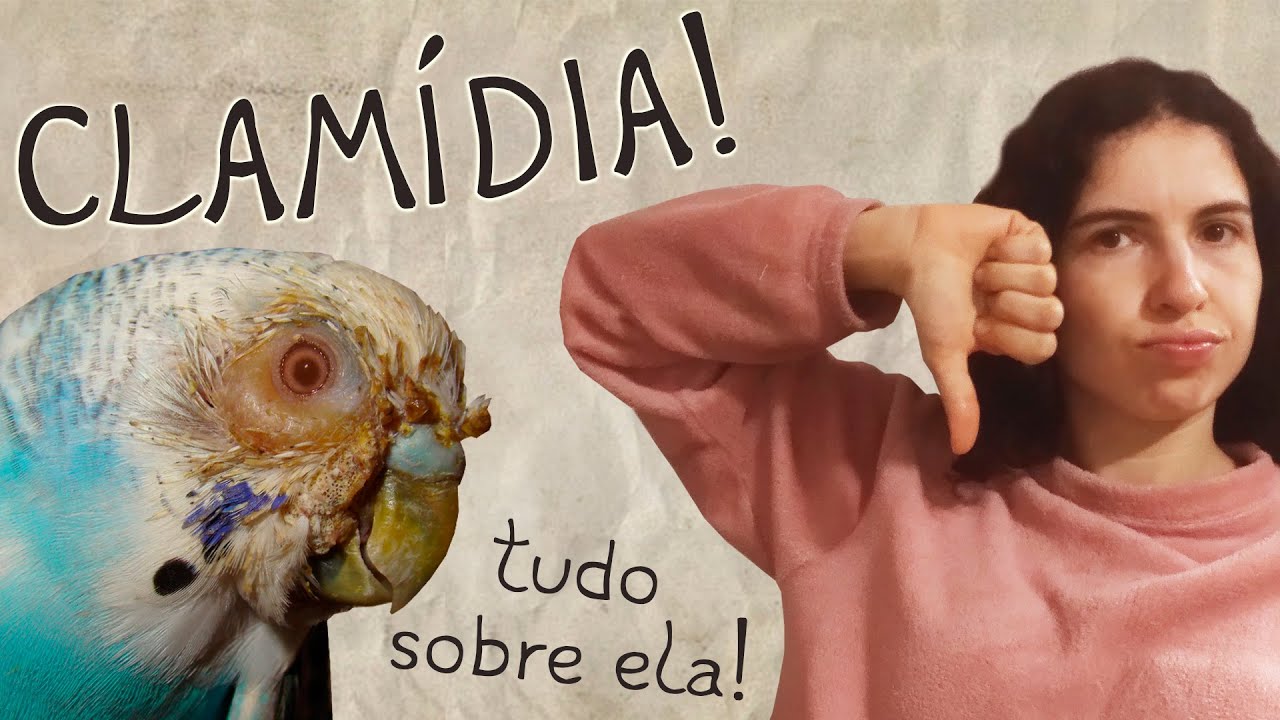 Sobre a Clamídia! - Parte 01