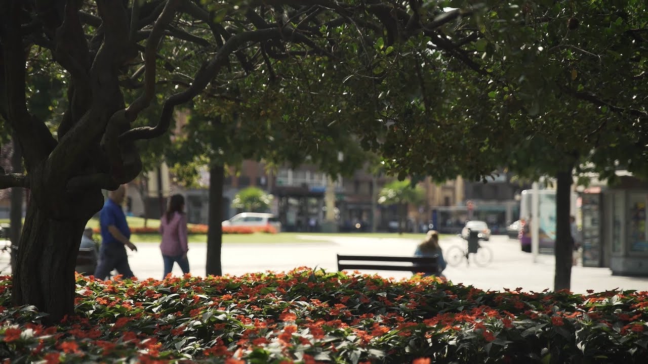 Plaza León de Palencia