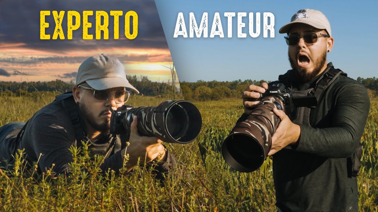 Top 5 Errores FATALES de Fotógrafos Principiantes de Vida Salvaje