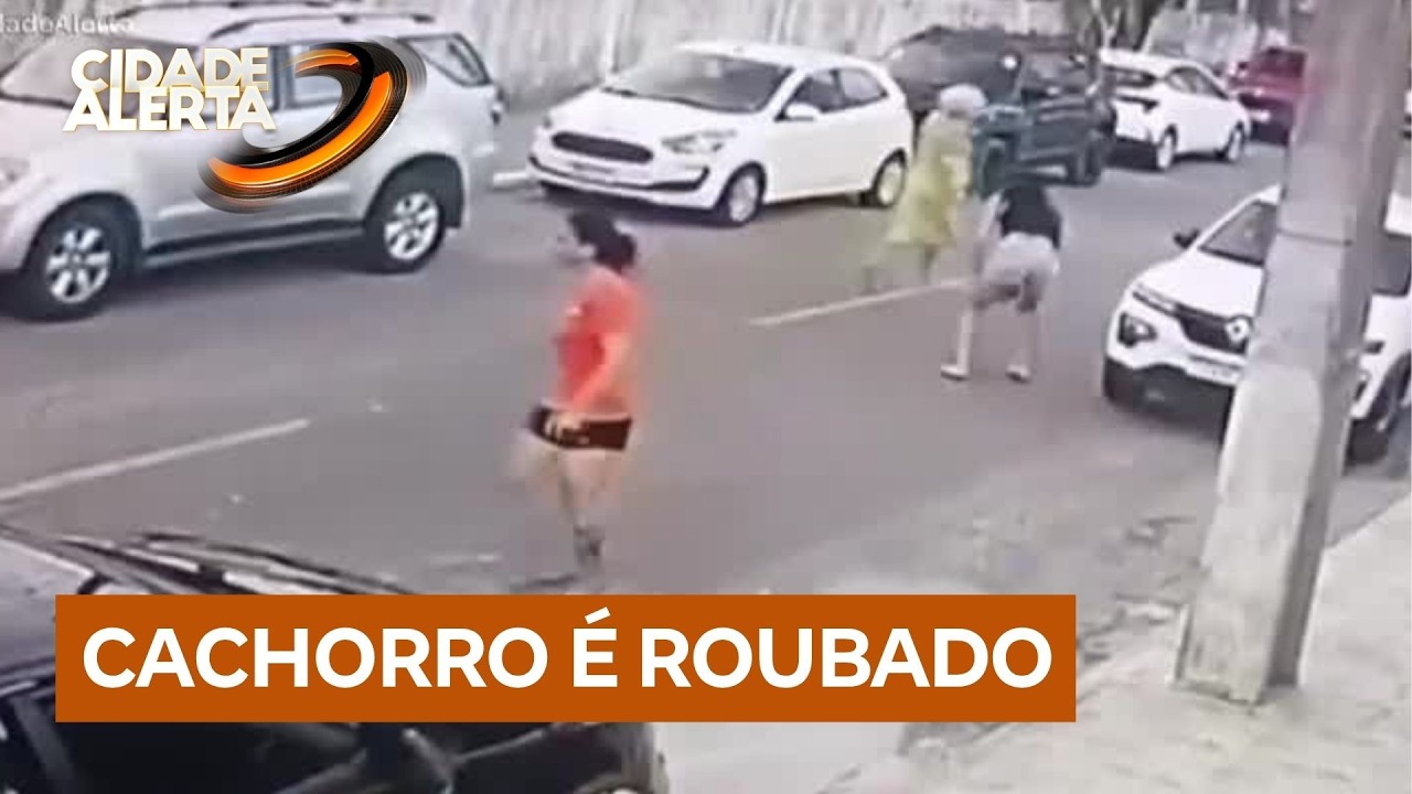 Cachorro &eacute; roubado durante ataque de quatro mulheres &agrave; uma senhora no RN
